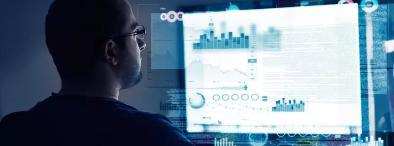 Data Insights & Visualization